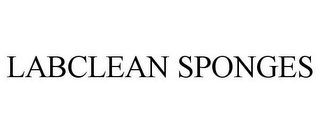 LABCLEAN SPONGES