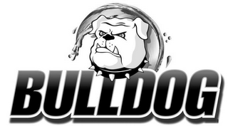 BULLDOG