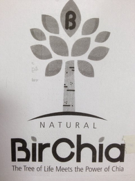 B NATURAL BIRCHIA THE TREE OF LIFE MEETS THE POWER OF CHIA