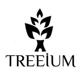 TREEIUM HOME REMODELING