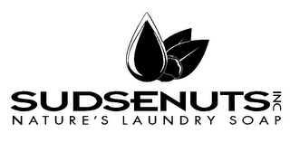 SUDSENUTS INC NATURE'S LAUNDRY SOAP