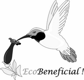 ECOBENEFICIAL!