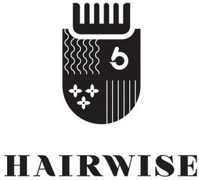 HAIRWISE
