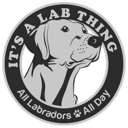 IT'S A LAB THING ALL LABRADORS ALL DAY