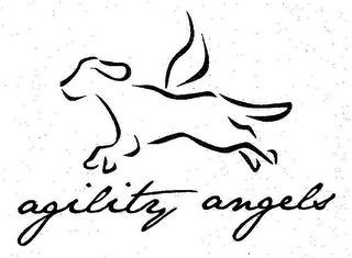 AGILITY ANGELS