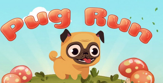 PUG RUN