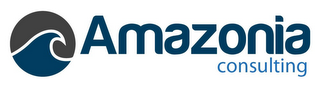 AMAZONIA CONSULTING