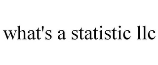 WHAT'S A STATISTIC LLC