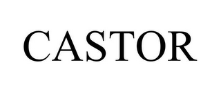 CASTOR