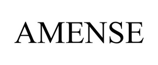 AMENSE