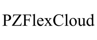 PZFLEXCLOUD