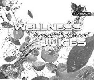 ECO FRIENDLY WELLNESS JUICES "FOR MIND, FOR BODY, FOR SOUL"