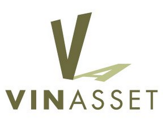 V A VINASSET