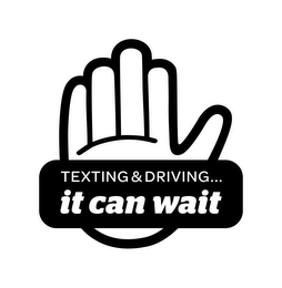 TEXTING & DRIVING...IT CAN WAIT