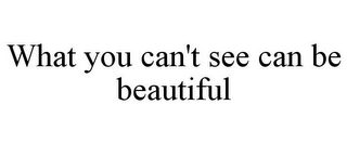 WHAT YOU CAN'T SEE CAN BE BEAUTIFUL