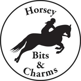 HORSEY BITS & CHARMS