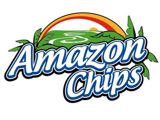 AMAZON CHIPS