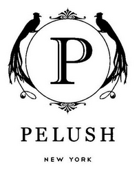 P PELUSH NEW YORK