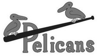 PELICANS