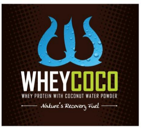 WHEYCOCO WHEY PROTEIN WITH COCONUT WATER POWDER NATURE'S RECOVERY FUEL