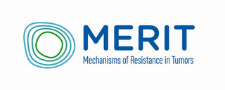 MERIT MECHANISMS OF RESISTANCE IN TUMORS