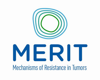 MERIT MECHANISMS OF RESTANTANCE IN TUMORS