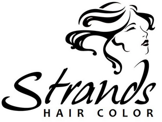 STRANDS HAIR COLOR