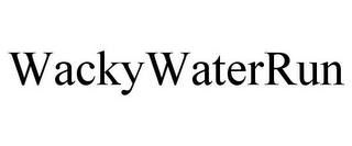 WACKYWATERRUN