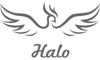HALO