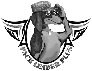 PACK LEADER PLUS