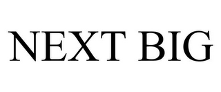 NEXT BIG