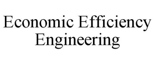 ECONOMIC EFFICIENCY ENGINEERING