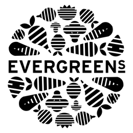 EVERGREENS