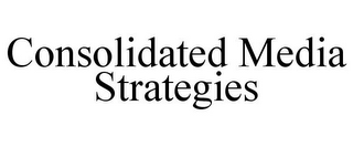 CONSOLIDATED MEDIA STRATEGIES