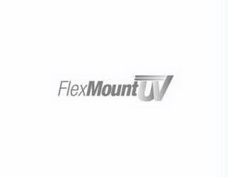 FLEXMOUNTUV