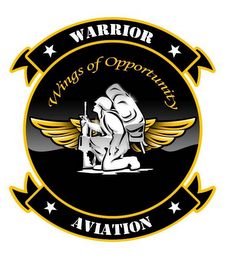 WARRIOR AVIATION WINGS OF OPPORTUNITY