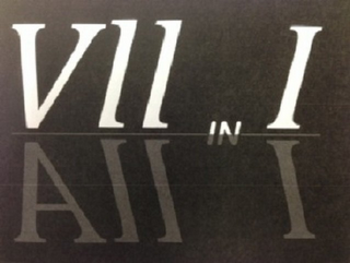 VII IN I ALL IN I