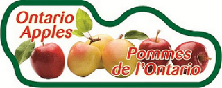 ONTARIO APPLES POMMES DE L'ONTARIO