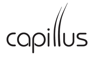 CAPILLUS