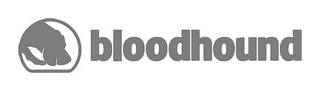 BLOODHOUND
