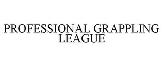 PROFESSIONAL GRAPPLING LEAGUE