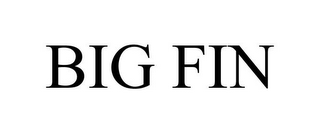 BIG FIN
