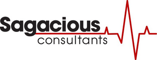 SAGACIOUS CONSULTANTS