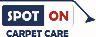 SPOT ON CAPET CARE