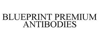 BLUEPRINT PREMIUM ANTIBODIES