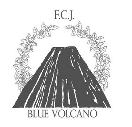 F.C.J. BLUE VOLCANO