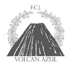 F.C.J. VOLCAN AZUL