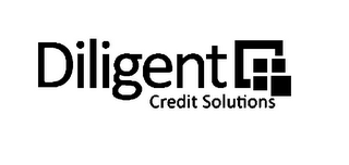 DILIGENT CREDIT SOLUTIONS