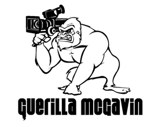 GUERILLA MCGAVIN