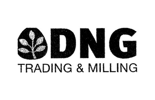 DNG TRADING & MILLING